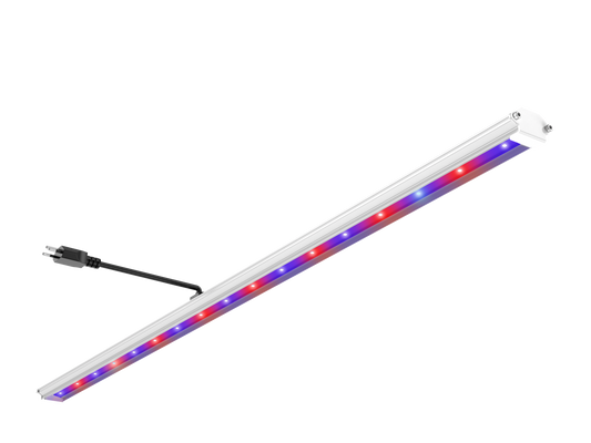 FOG BOOST UVA+UVB+iR 110CM + Fixation