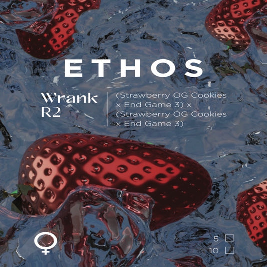 Ethos Wrank R2