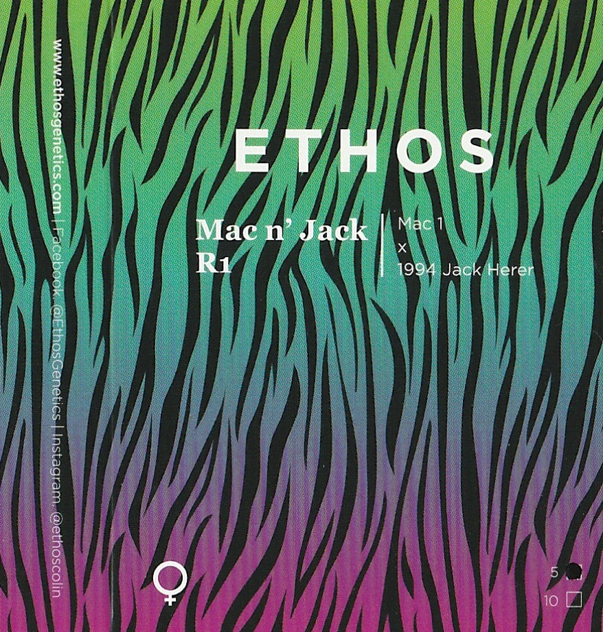 Ethos Mac n' Jack R1