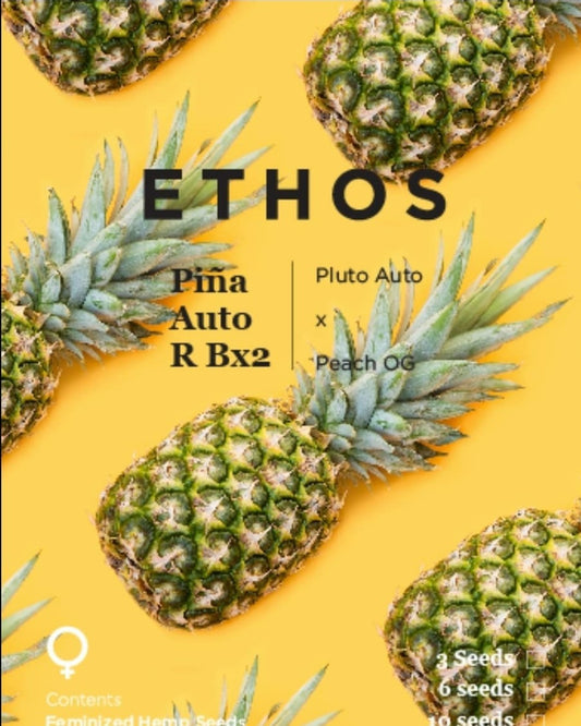 Ethos Piña Auto RBX2