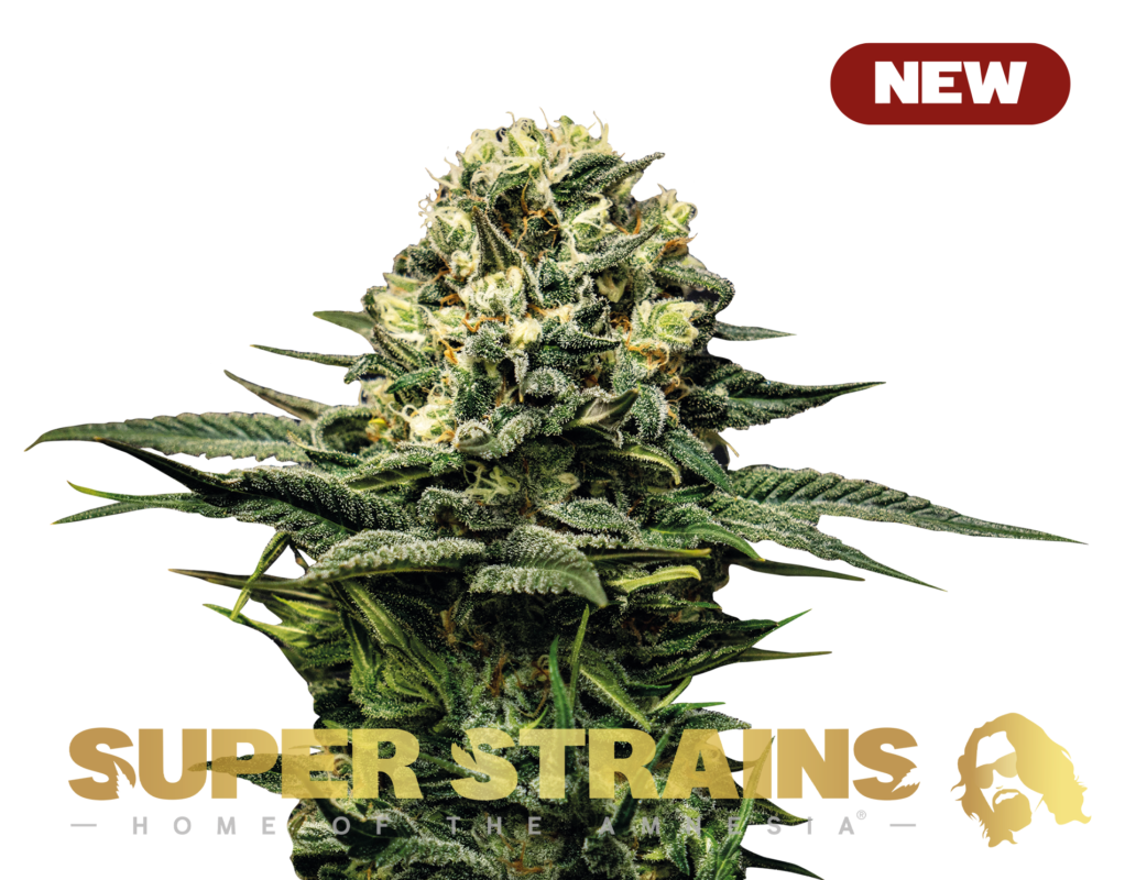 Super Strains Wedding Cake