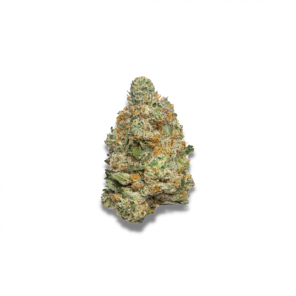 Growers Choice Beignet aux pommes AUTO FEM