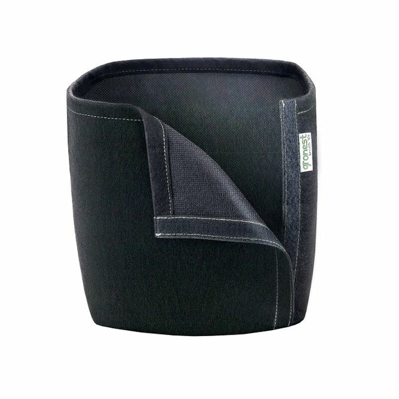 Homebox Ambient 80+ Comfort Complete Grow Set
