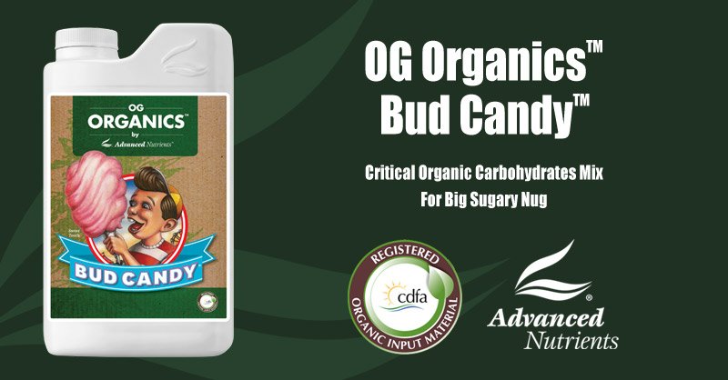 Advanced Nutrients Bud Candy® 1L | OG Organics™ 