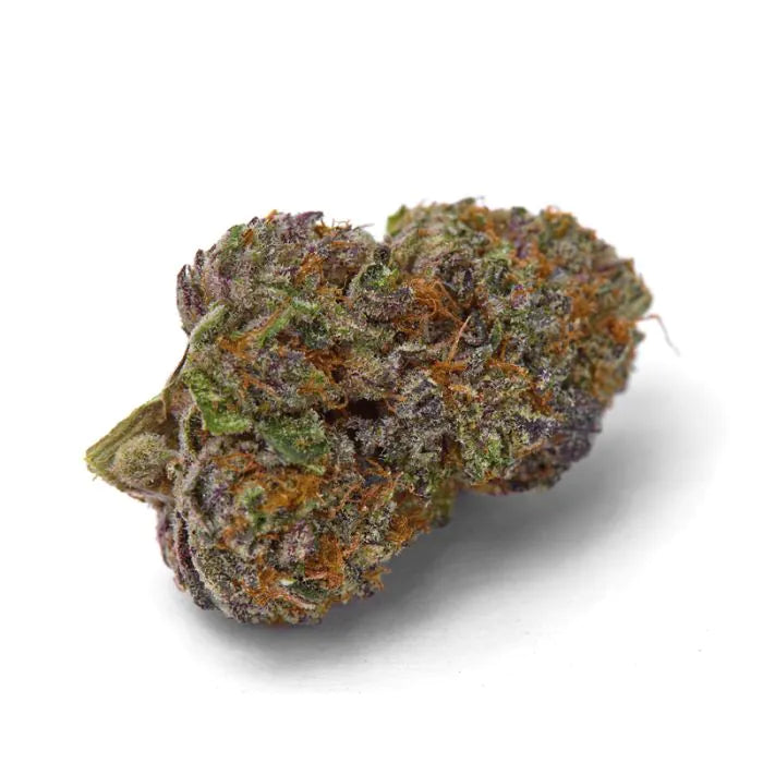 Growers Choice Violet Dosi Punch FEM