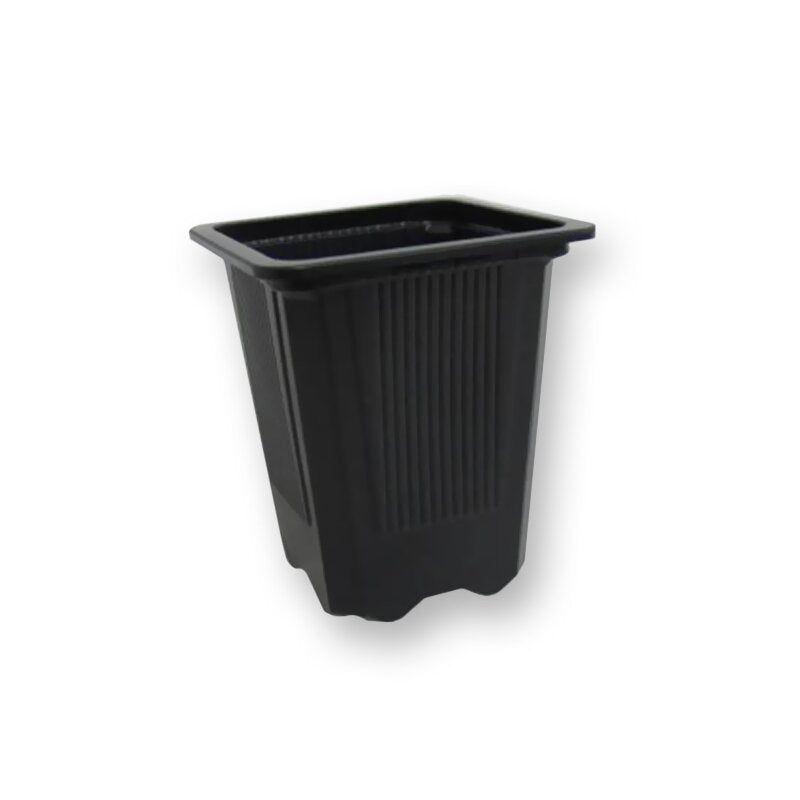 Homebox Ambient 80+ Comfort Complete Grow Set